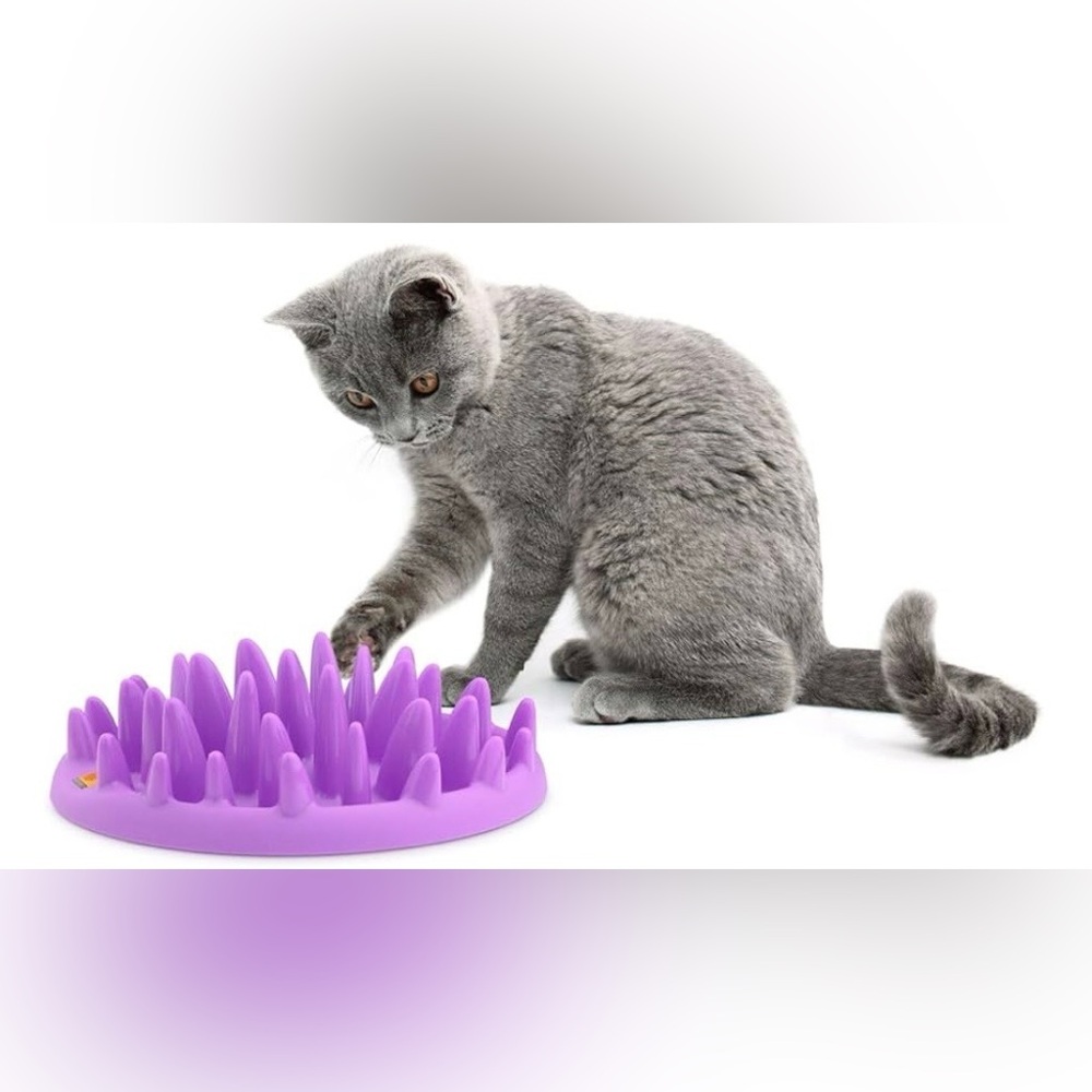 NORTHMATE Catch Interactive Dog & Cat Feeder, NWT